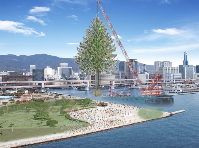 「世界一のクリスマスツリー」神戸に出現 - 富山から届く、約30m“あすなろの木”が世界一輝く木に｜写真2