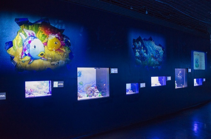 アクアパーク品川×絵本『にじいろのさかな』水族館が物語の中の世界に、ネイキッドの特別映像も | 写真