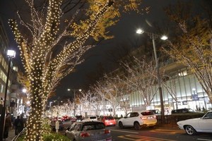 「表参道イルミネーション2017」神宮橋～表参道交差点の全域点灯は7年ぶり、約90万球の光が灯る｜写真4