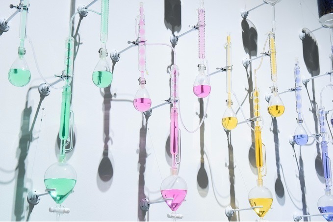 資生堂「まわれ右脳！展」