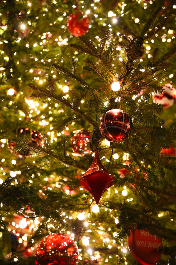 恵比寿ガーデンプレイスのクリスマス - バカラの世界最大級シャンデリアや10mのクリスマスツリー｜写真12