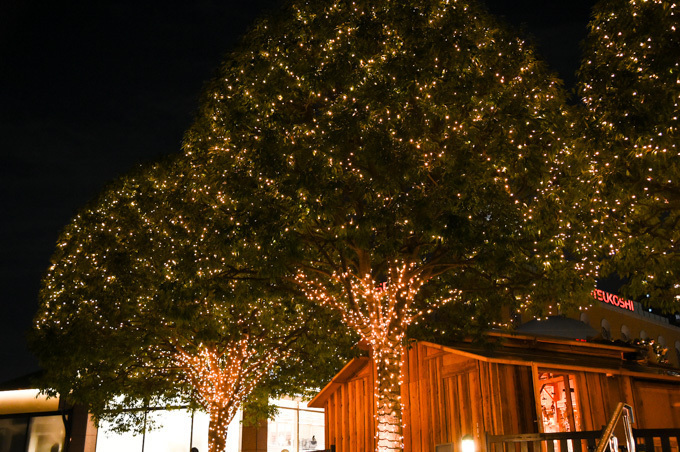 恵比寿ガーデンプレイスのクリスマス - バカラの世界最大級シャンデリアや10mのクリスマスツリー｜写真16