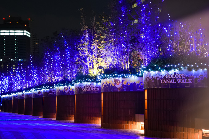 恵比寿ガーデンプレイスのクリスマス - バカラの世界最大級シャンデリアや10mのクリスマスツリー｜写真13