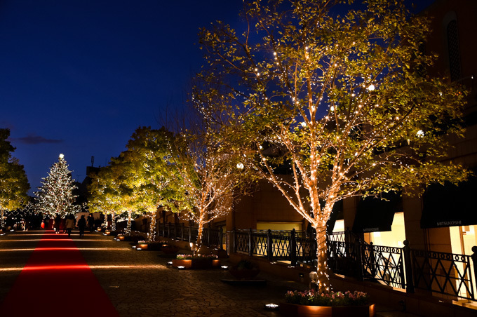 恵比寿ガーデンプレイスのクリスマス - バカラの世界最大級シャンデリアや10mのクリスマスツリー｜写真10
