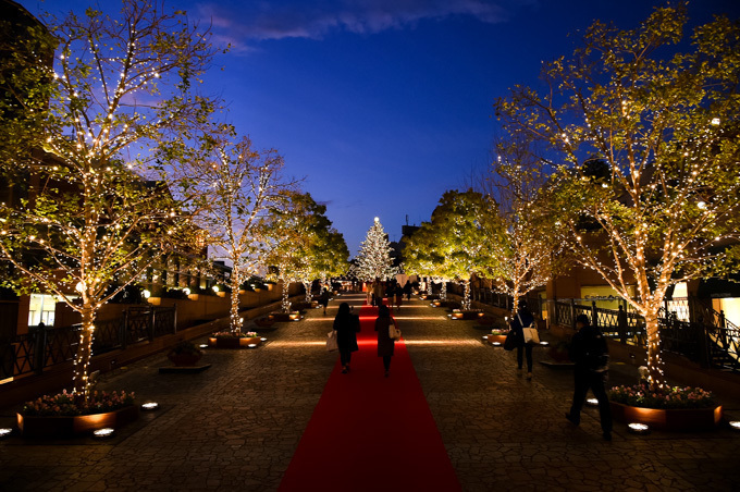 恵比寿ガーデンプレイスのクリスマス - バカラの世界最大級シャンデリアや10mのクリスマスツリー｜写真9