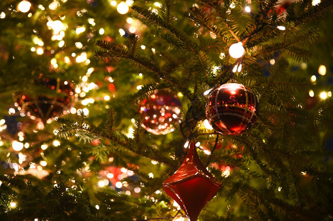 恵比寿ガーデンプレイスのクリスマス - バカラの世界最大級シャンデリアや10mのクリスマスツリー｜写真11