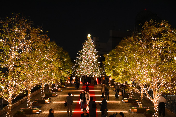 恵比寿ガーデンプレイスのクリスマス - バカラの世界最大級シャンデリアや10mのクリスマスツリー｜写真20