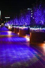 恵比寿ガーデンプレイスのクリスマス - バカラの世界最大級シャンデリアや10mのクリスマスツリー｜写真18