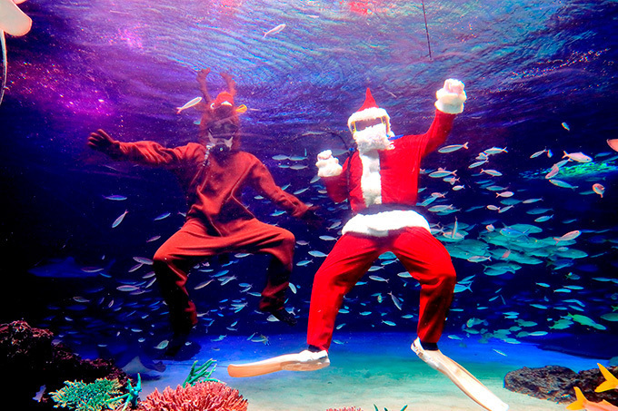 サンシャイン水族館のクリスマス、オーナメントで遊ぶカワウソ＆ピングーとコラボしたツリーも｜写真2