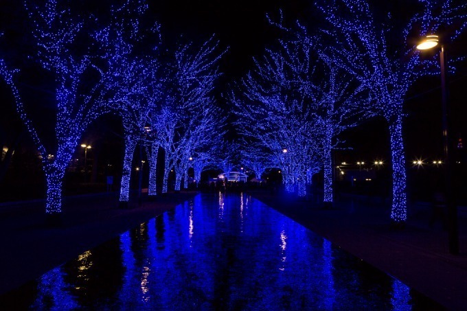 「青の洞窟 SHIBUYA」イルミネーション開催、渋谷公園通りから代々木公園ケヤキ並木まで青一色に｜写真3
