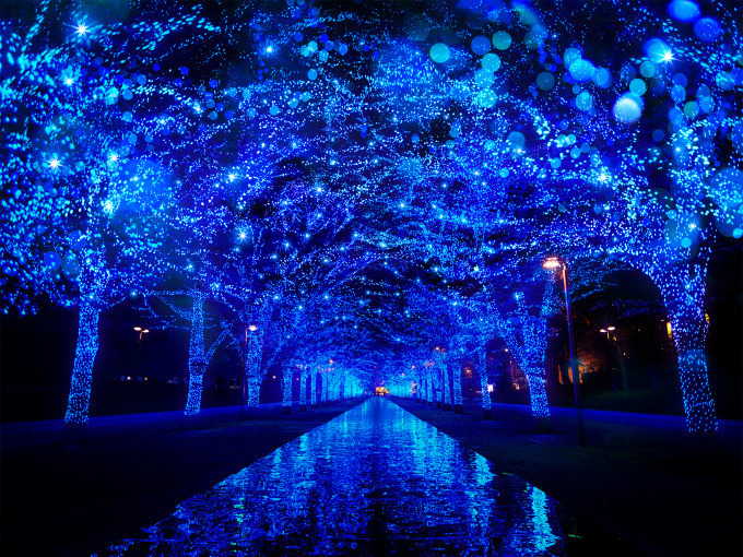 「青の洞窟 SHIBUYA」イルミネーション開催、渋谷公園通りから代々木公園ケヤキ並木まで青一色に｜写真15