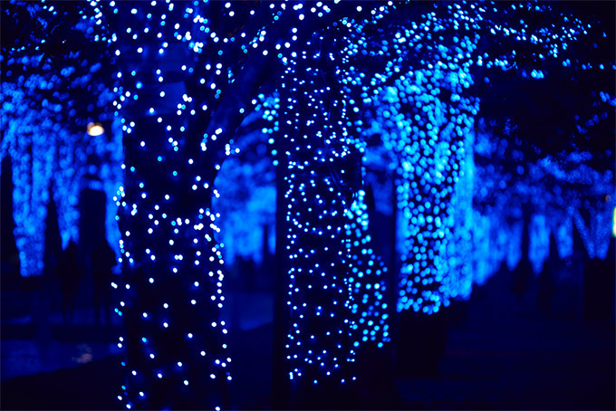 「青の洞窟 SHIBUYA」イルミネーション開催、渋谷公園通りから代々木公園ケヤキ並木まで青一色に｜写真9
