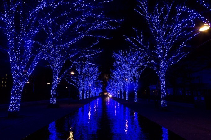 「青の洞窟 SHIBUYA」イルミネーション開催、渋谷公園通りから代々木公園ケヤキ並木まで青一色に｜写真2