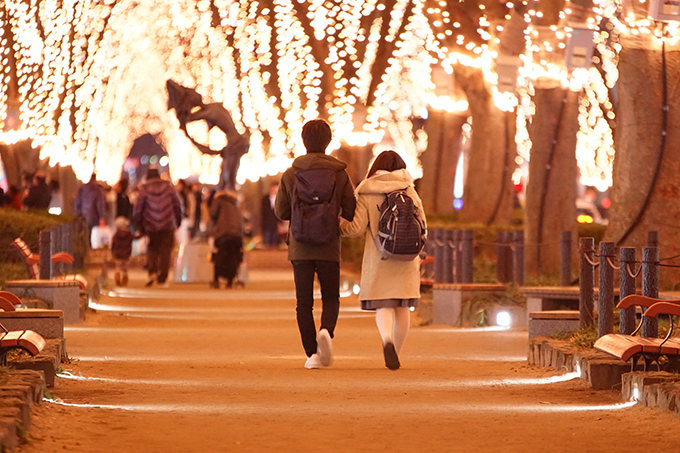 「2017 SENDAI光のページェント」仙台・定禅寺通で、ケヤキを照らす60万球のイルミネーション｜写真3