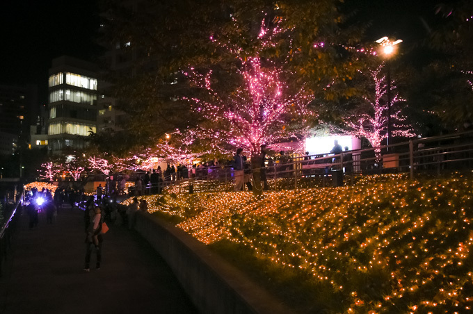 「目黒川みんなのイルミネーション2017」開催、42万個以上のLEDで"冬の桜"演出｜写真4