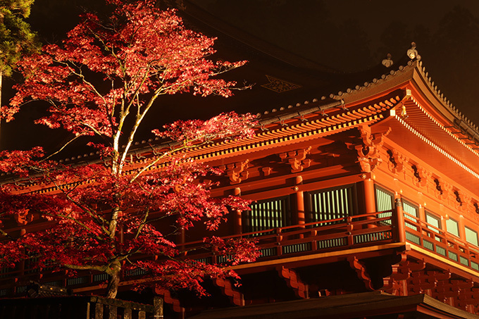 「ライトアップ日光 2018」世界文化遺産“日光の社寺”を夜間照明で彩る｜写真0