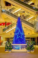 みなとみらいエリア最大イルミネーションがグランモール公園で、3色のLEDで彩るケヤキ並木｜写真4