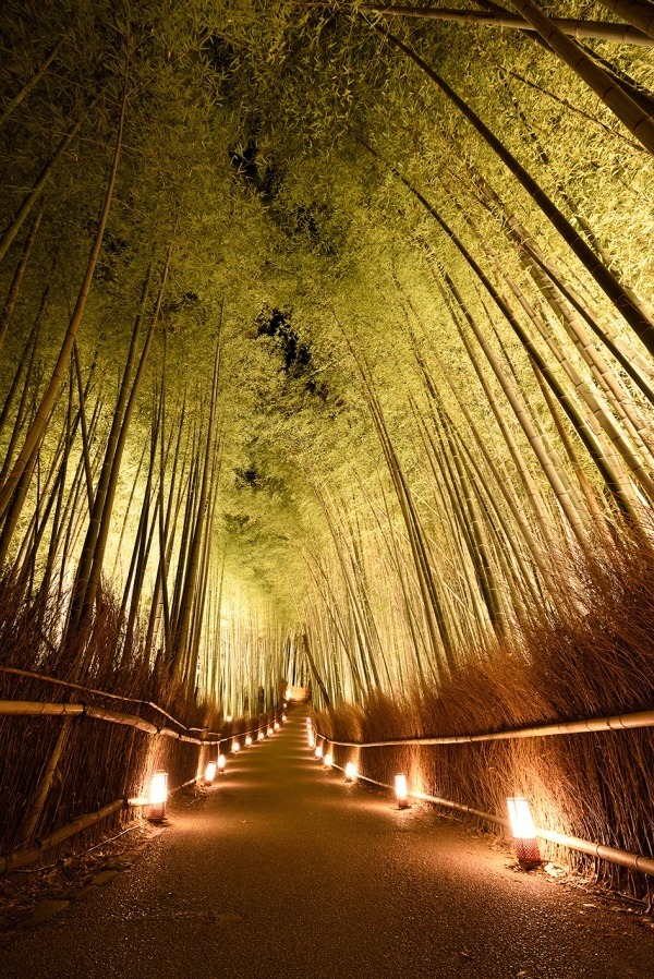 「京都・花灯路」嵯峨・嵐山エリア＆東山エリアで開催 - 渡月橋や竹林の小径をライトアップ｜写真3