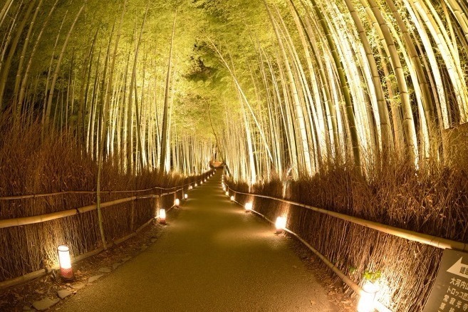 京都 花灯路 嵯峨 嵐山エリア 東山エリアで開催 渡月橋や竹林の小径をライトアップ ファッションプレス