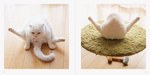 写真集『ねこのおみあし』“くつしたねこ”から“ごろにゃん”まで、魅力たっぷりな後ろ足に注目｜写真3