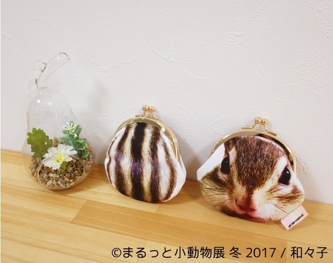 写真展「まるっと小動物展 冬 2017」浅草橋で - ハリネズミやリスなど、愛くるしい小動物に焦点｜写真23