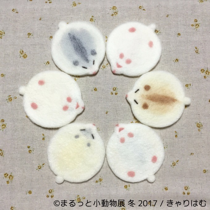 写真展「まるっと小動物展 冬 2017」浅草橋で - ハリネズミやリスなど、愛くるしい小動物に焦点｜写真22