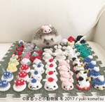 写真展「まるっと小動物展 冬 2017」浅草橋で - ハリネズミやリスなど、愛くるしい小動物に焦点｜写真19