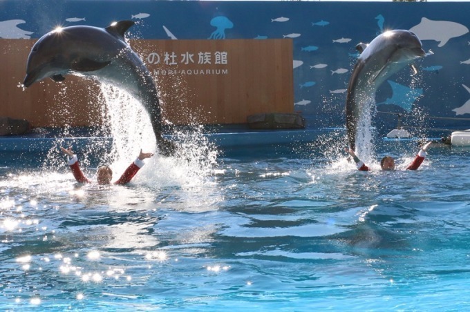 「仙台うみの杜水族館」、360度プロジェクションマッピング×魚25,000匹のクリスマスショー｜写真13
