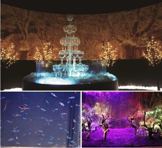 「仙台うみの杜水族館」、360度プロジェクションマッピング×魚25,000匹のクリスマスショー｜写真5