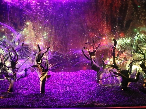 「仙台うみの杜水族館」、360度プロジェクションマッピング×魚25,000匹のクリスマスショー｜写真3
