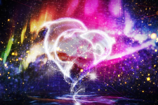 「仙台うみの杜水族館」