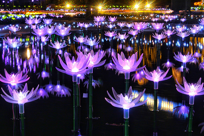 栃木・あしかがフラワーパークのイルミネーション「光の花の庭～フラワーファンタジー2017～」｜写真2