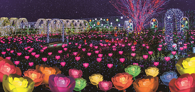 栃木・あしかがフラワーパークのイルミネーション「光の花の庭～フラワーファンタジー2017～」｜写真1