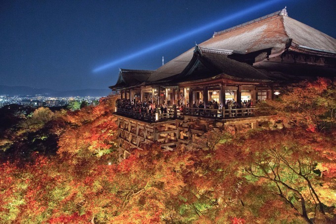 音羽山 清水寺「秋の夜の特別拝観」紅葉の一大名所を、約500基の照明が幻想的にライトアップ｜写真1