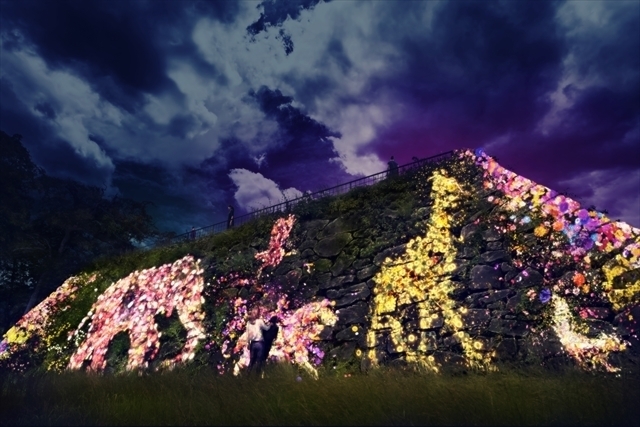 大天守台跡の石垣に住まう花と共に生きる動物達 Animals of Flowers, Symbiotic Lives in the Stone Wall  - Fukuoka Castle Ruins