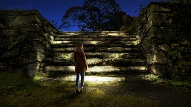 「福岡城 チームラボ 城跡の光の祭」石城に幻想的な光の動物たちが出現｜写真3