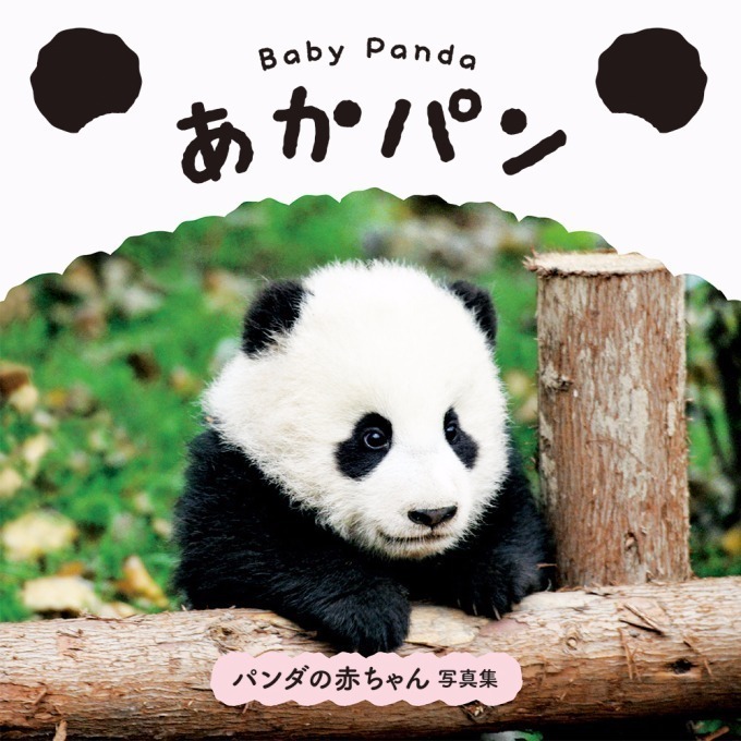 パンダの赤ちゃん 写真集が発売 白くてふわふわ 国内外の赤ちゃんパンダの魅力満載 ファッションプレス パンダの赤ちゃん 写真集が発売 白くてふわふわ 国内外の赤ちゃんパンダの魅力満載 ファッションプレス