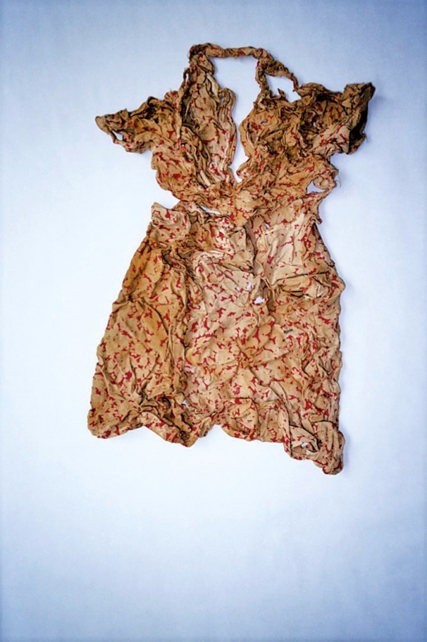 "ひろしま #106 Donor: Hashimoto, H." 2016年