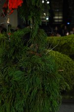 リトゥンアフターワーズ 2018年春夏コレクション - 装いを慈しむこと｜写真47