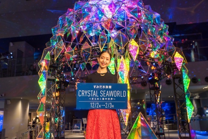 すみだ水族館のイルミネーション - ペンギンと楽しむ、無数の光に満たされた海の世界｜写真8