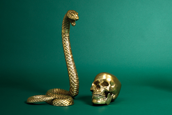 ディーゼルから「驚異の部屋」がテーマのインテリア 、狼のスカルや蛇をモチーフに