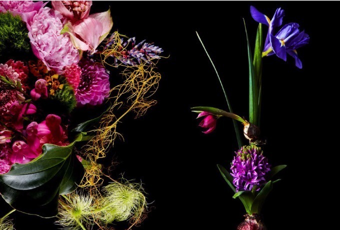 東信 椎木俊介の写真集 Time Of Life 植物図鑑 鮮烈な花々が生命の尊さを教える ファッションプレス