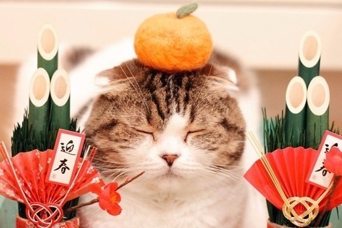 ねこ休み展 横浜で合同写真 物販展初開催 癒し写真から願いが書ける猫の 巨大絵馬 まで登場 ファッションプレス ねこ休み展 横浜で合同写真 物販展初開催 癒し写真から願いが書ける猫の 巨大絵馬 まで登場 ファッションプレス