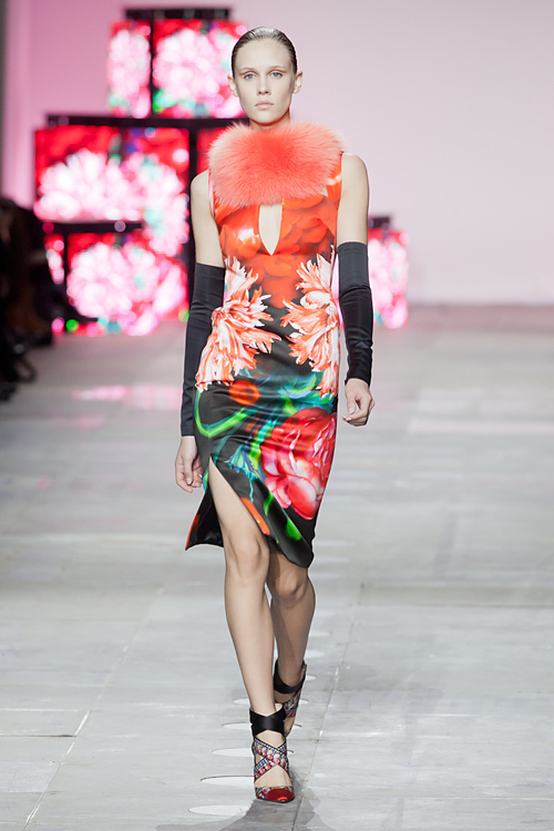 ピーター ピロット(PETER PILOTTO) 2012-13年秋冬 ウィメンズコレクション  - 写真23