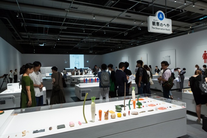 「観察のへや」展示風景
※画像は東京展の様子。