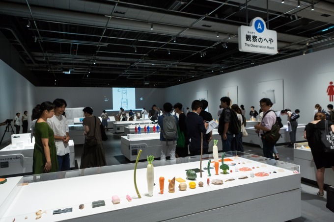 「観察のへや」展示風景
※画像は東京展の様子。