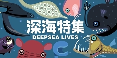 「ゾクゾク深海生物2018」池袋・ サンシャイン水族館で深海生物を観て触れて味わえる｜写真17