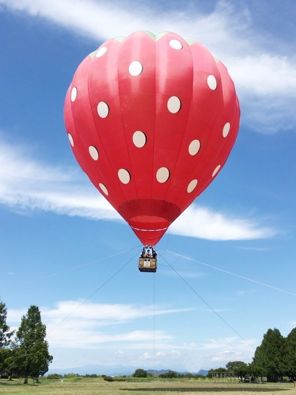 同時開催 開館15周年記念 熱気球搭乗体験