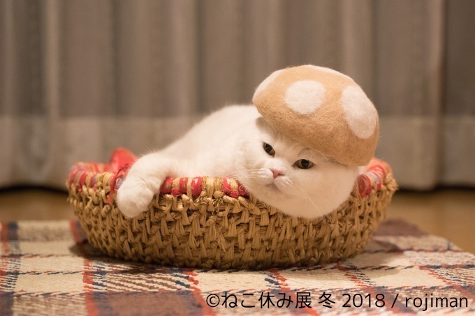 「ねこ休み展 冬 2018」が東京・浅草橋で - 350点以上の作品展示ほかオリジナルグッズも｜写真23