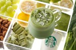 スターバックス(Starbucks Coffee) 抹茶 フルーティ ブレンズ ティー ラテ｜写真1
